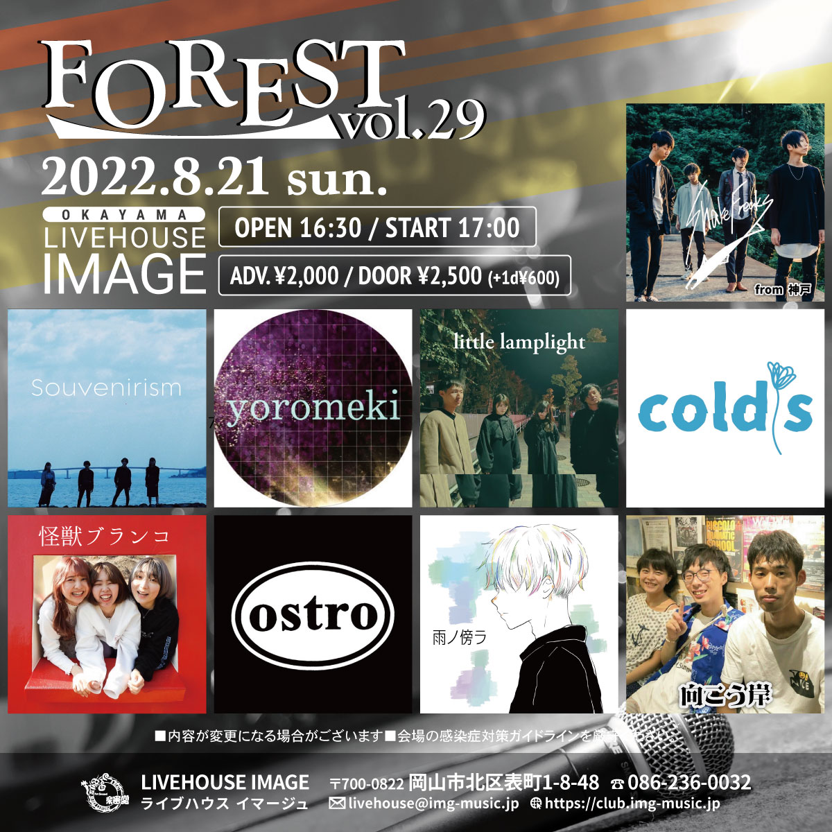 FOREST vol.29