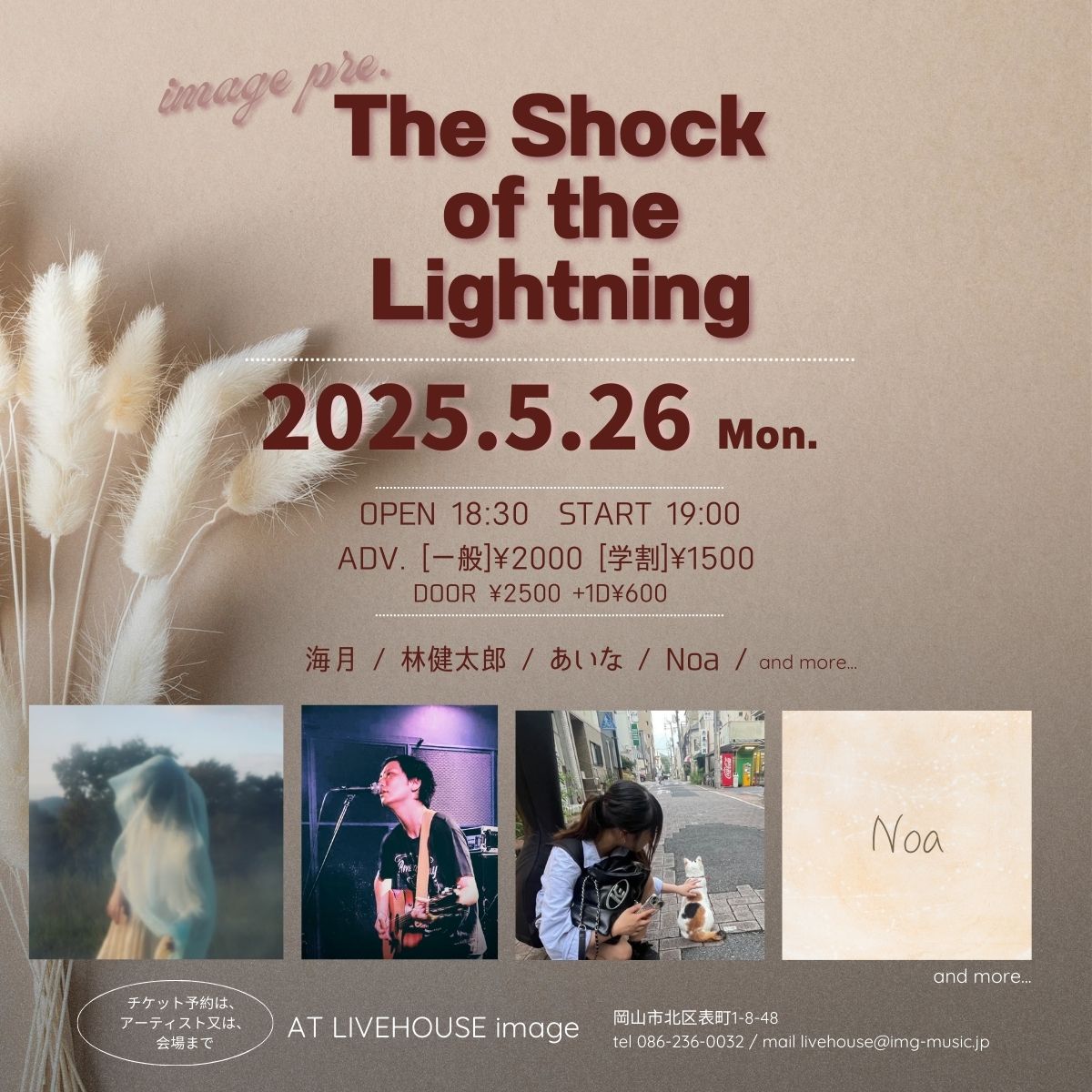 The Shock of the Lightning　