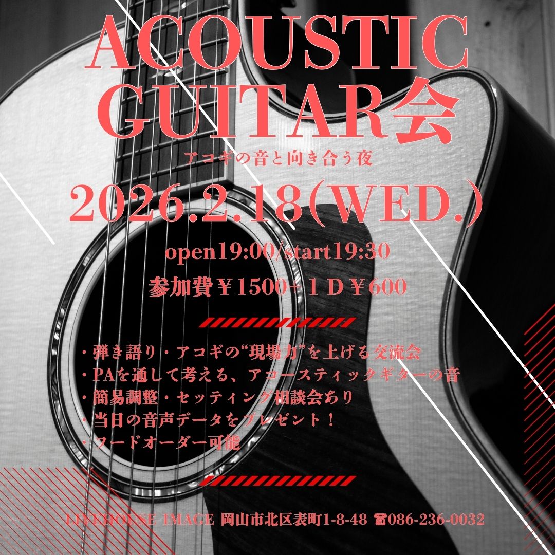 Acoustic Guitar会