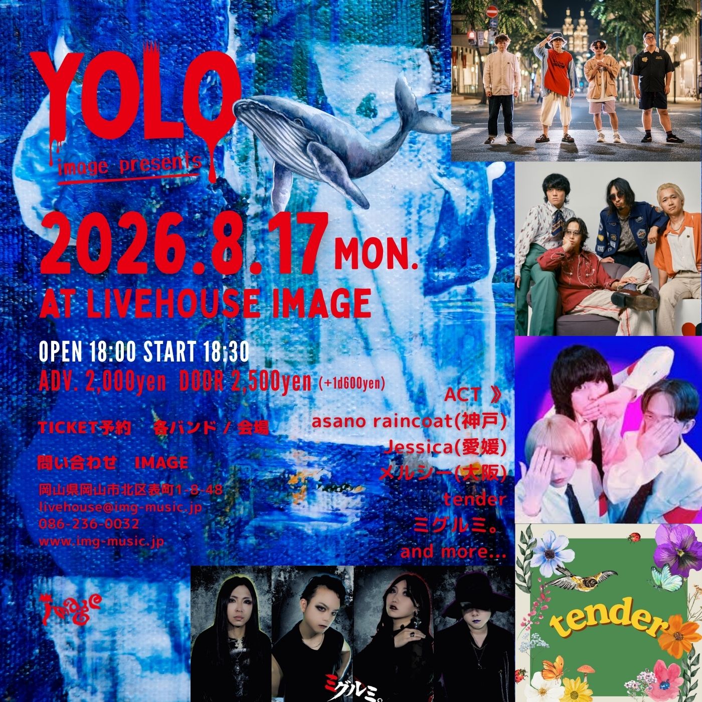 image pre. yolo