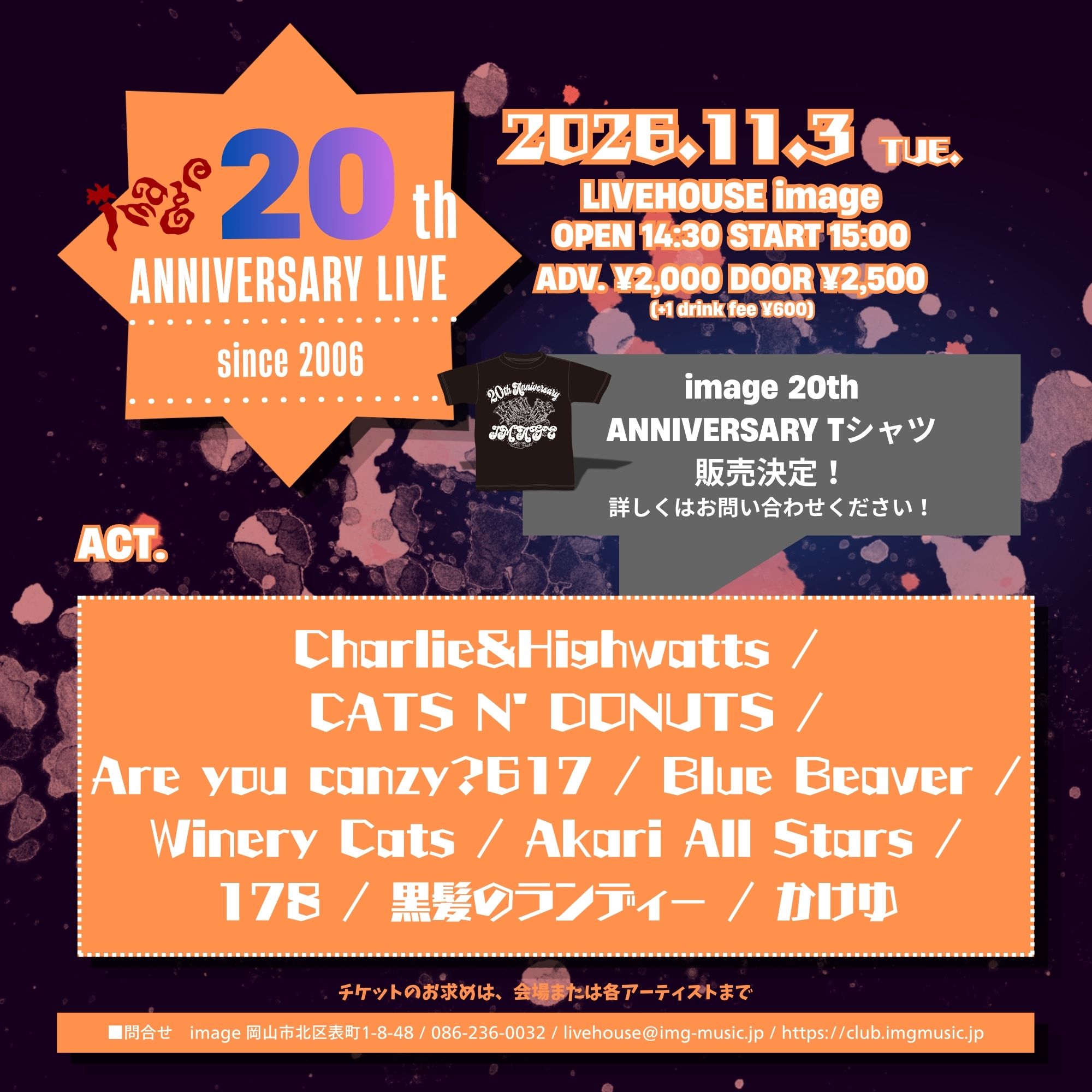 Image 20th anniversary live