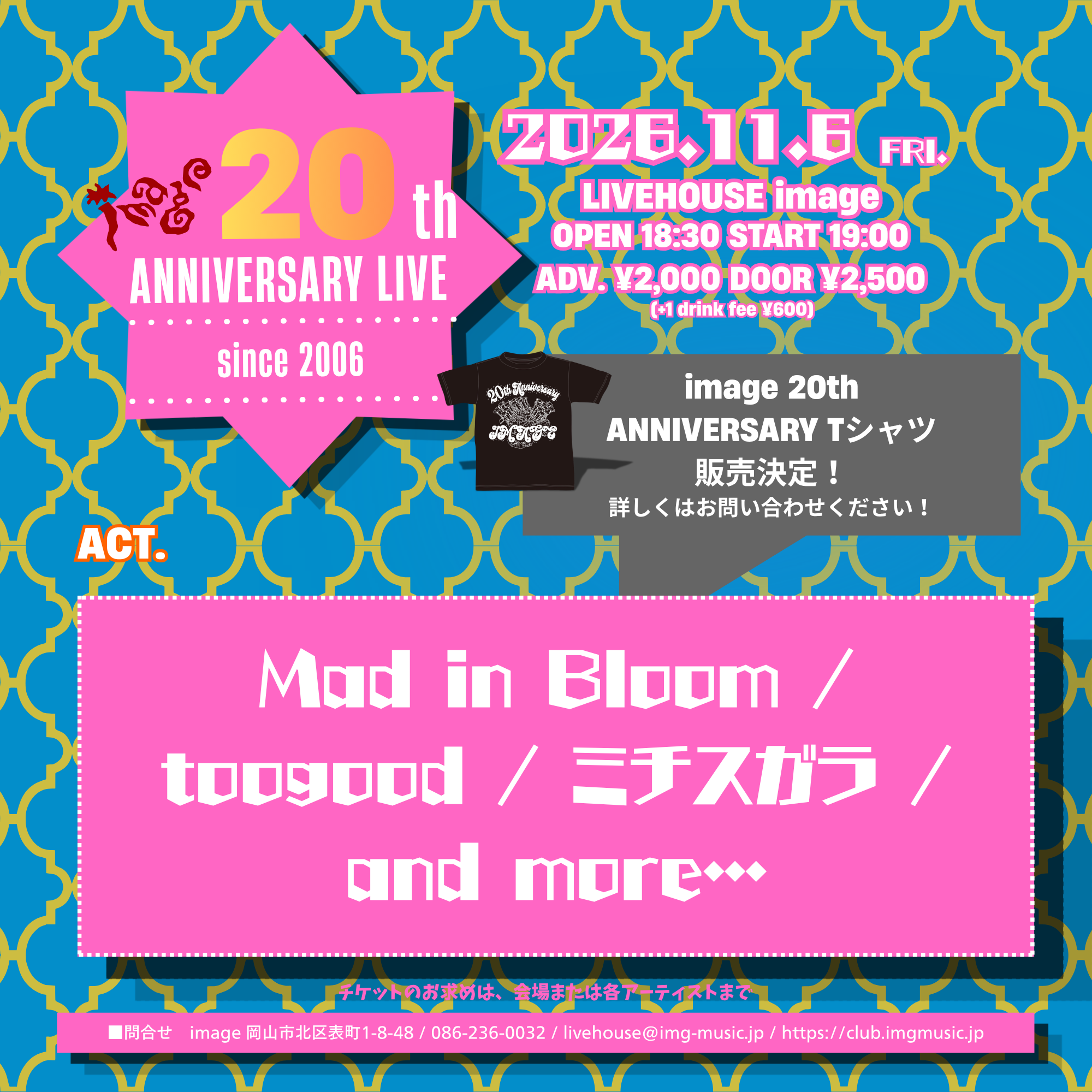 Image 20th anniversary live